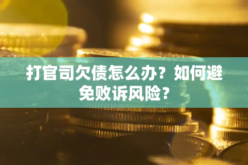 北京打官司欠债怎么办？如何避免败诉风险？