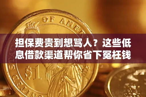 北京担保费贵到想骂人？这些低息借款渠道帮你省下冤枉钱